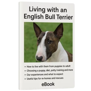 The English Bull Terrier Companion Guide